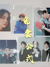 宠妻公式:1001初吻