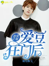 恋爱计划：爱豆在门后
