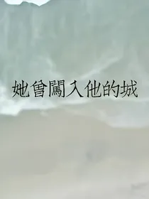 她曾闯入他的城