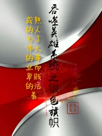 吞噬英雄系统之银色旗帜