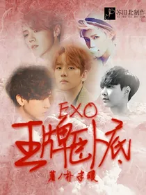 EXO:王牌卧底