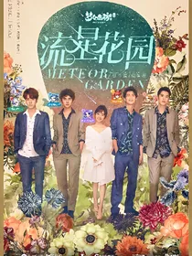 电视剧流星花园