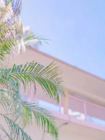 九月宠溺.