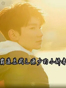 霸道总裁之源少的小娇妻