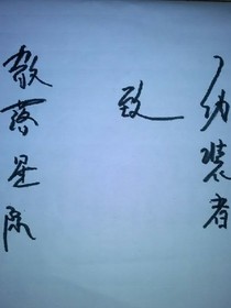 散落星际之伪装者