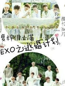 EXO之逃婚计划