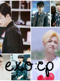 exo:cp文