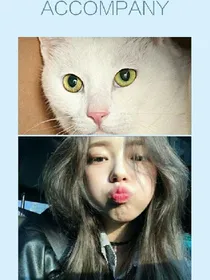 一只奇怪的猫咪