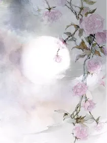 梦回红楼，前世今生