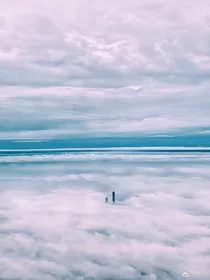三世采薇
