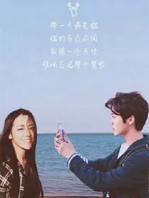 魔幻陆地夫妇