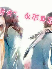 前夫，永不再见！
