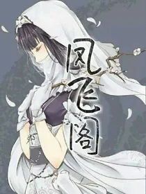凤飞阁