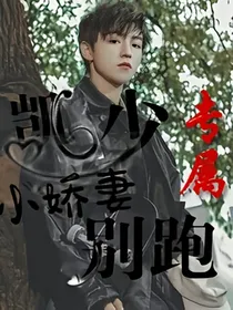 凯少专属甜妻，不要跑_d978