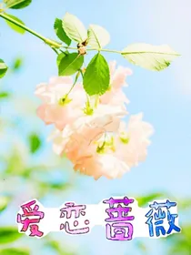 爱恋蔷薇