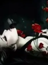 彼岸花语