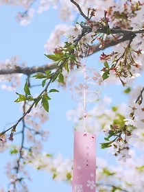 守护甜心之悸动的星