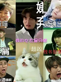 BTS之我的女友是只猫
