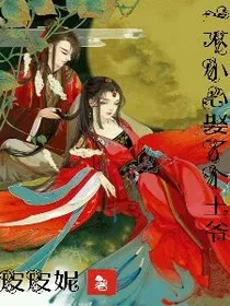 一不小心娶了个王爷