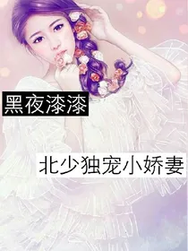 黑夜漆漆，北少独宠小娇妻