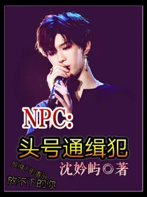 NPC：头号通缉犯