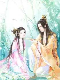 王的小宏妃