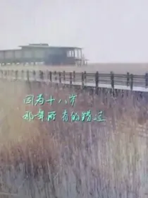 十五年等待候鸟之穿越千年