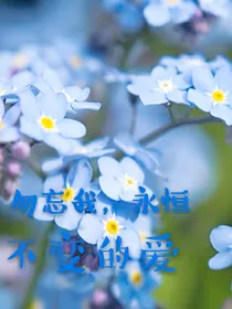 叶罗丽精灵梦之勿忘我，永恒不变的爱！-d148