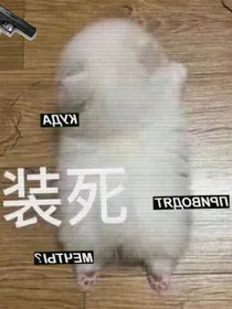 万能墙