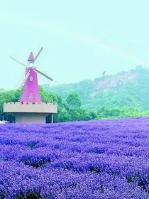 TFBOYS之命运就是命运，没有人可以改变，除了他们