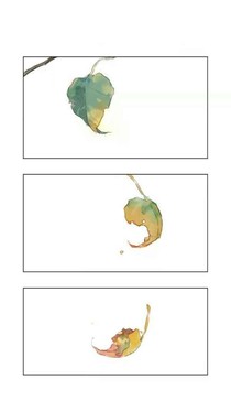 浮生有时