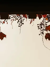 青春面前的我们