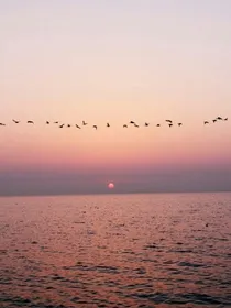 夏陌之光