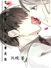七年之遇:冥少宠妻无度