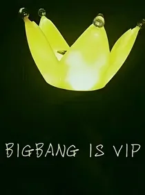 VlP与bigbang