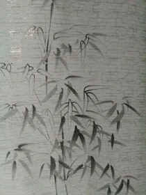 斗龙战士之相见恨晚