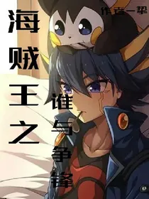 海贼王之谁与争锋