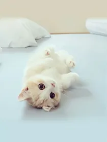 Tfboys之唯美物语