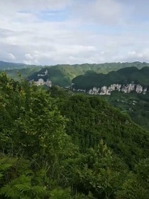 权夫人