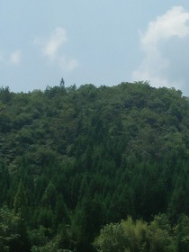 零度世界