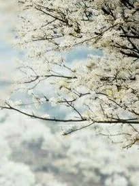 黎骅落