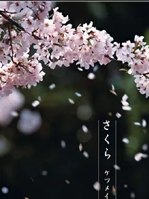 生生世世唯你一人