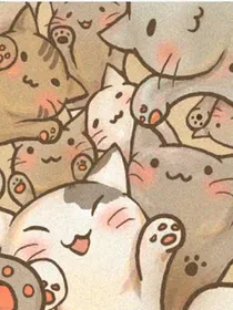 喵屋