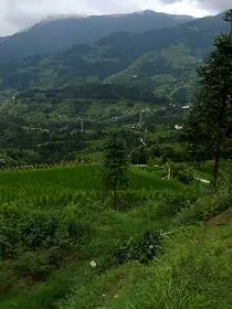 路人丁