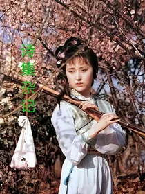 诗集杂记