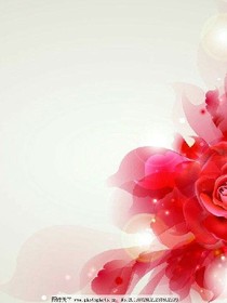 小花仙之暗夜玫瑰