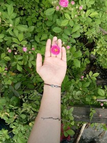 风花舞