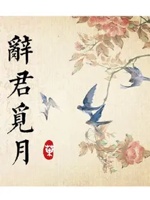 辞君觅月