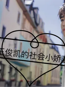王俊凯的社会小娇妻
