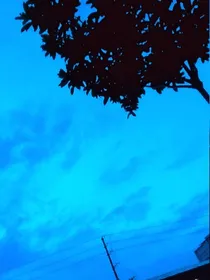 故人已西辞